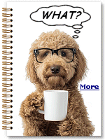 You may have seen some of the most common types of doodle dogs that have gained popularity in recent decades. Every doodle dog is a little different, based on the type of Poodle parent (Standard, Miniature, or Toy Poodle) and the breed they�re mixed with.